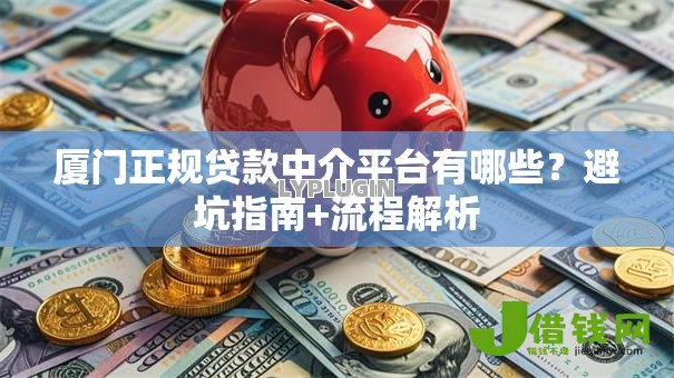 厦门正规贷款中介平台有哪些？避坑指南+流程解析
