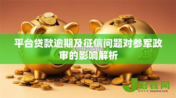 平台贷款逾期及征信问题对参军政审的影响解析
