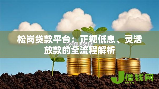 松岗贷款平台：正规低息、灵活放款的全流程解析