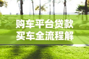 购车平台贷款买车全流程解析：新手必看的五大注意事项
