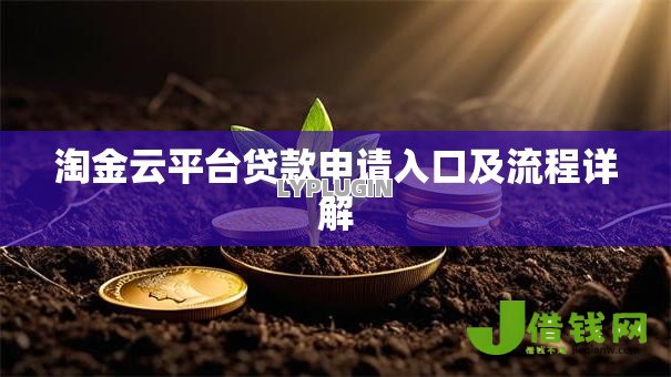 淘金云平台贷款申请入口及流程详解