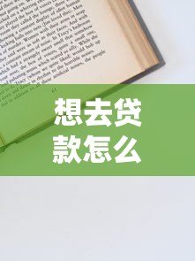 想去贷款怎么操作？贷款平台申请全流程指南