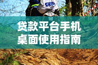 贷款平台手机桌面使用指南：快速申请与安全操作技巧