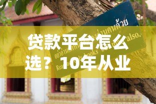 贷款平台怎么选？10年从业者揭秘正规平台挑选技巧及避坑指南
