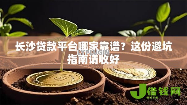 长沙贷款平台哪家靠谱？这份避坑指南请收好
