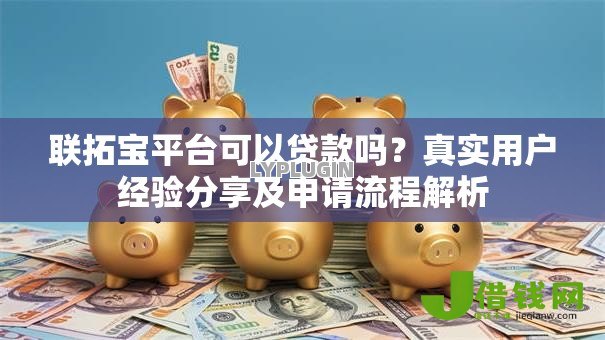 联拓宝平台可以贷款吗？真实用户经验分享及申请流程解析