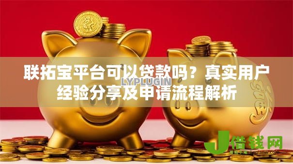 联拓宝平台可以贷款吗？真实用户经验分享及申请流程解析