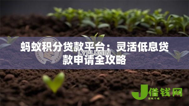蚂蚁积分贷款平台:灵活低息贷款申请全攻略 蚂蚁积分贷款平台:灵活低息贷款申请全攻略