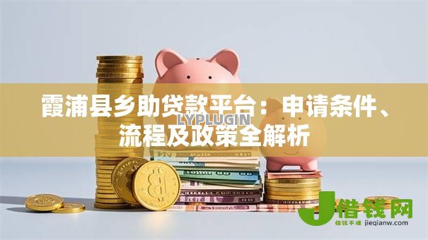 霞浦县乡助贷款平台：申请条件、流程及政策全解析