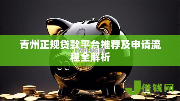 青州正规贷款平台推荐及申请流程全解析 青州正规贷款平台推荐及申请流程全解析
