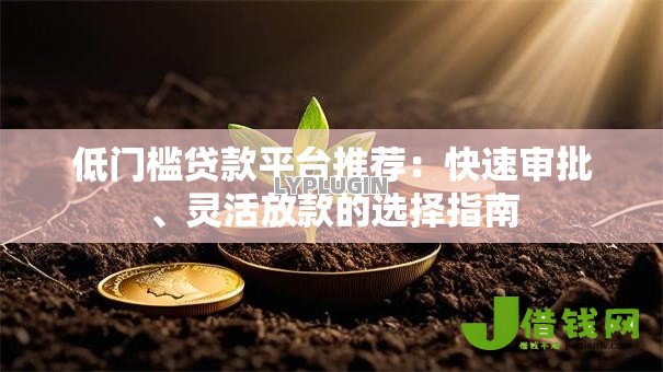 低门槛贷款平台推荐：快速审批、灵活放款的选择指南