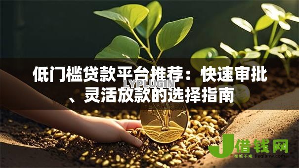低门槛贷款平台推荐：快速审批、灵活放款的选择指南