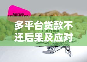 多平台贷款不还后果及应对指南