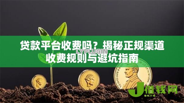 贷款平台收费吗？揭秘正规渠道收费规则与避坑指南