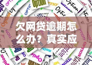 欠网贷逾期怎么办？真实应对方法与协商技巧