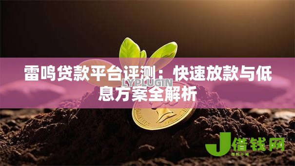雷鸣贷款平台评测：快速放款与低息方案全解析