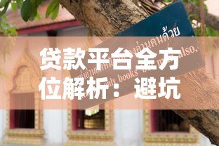 贷款平台全方位解析:避坑指南与实用技巧 贷款平台全方位解析:避坑指南与实用技巧