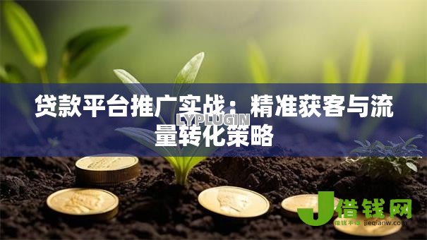 贷款平台推广实战：精准获客与流量转化策略