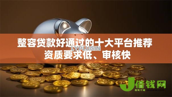 整容贷款好通过的十大平台推荐  资质要求低、审核快