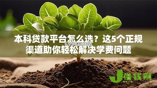 本科贷款平台怎么选？这5个正规渠道助你轻松解决学费问题