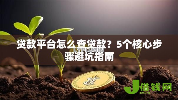 贷款平台怎么查贷款?5个核心步骤避坑指南 贷款平台怎么查贷款?5个核心步骤避坑指南