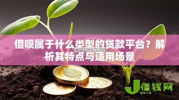 借呗属于什么类型的贷款平台？解析其特点与适用场景
