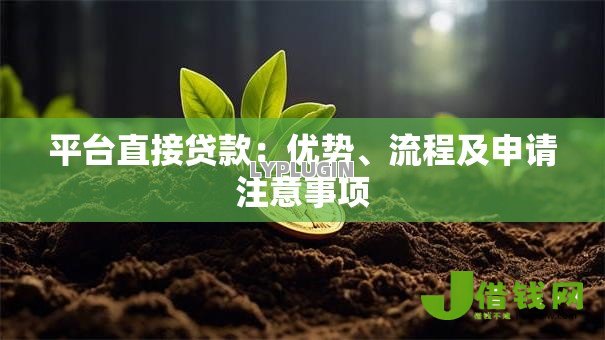 平台直接贷款：优势、流程及申请注意事项