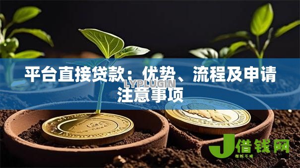 平台直接贷款：优势、流程及申请注意事项