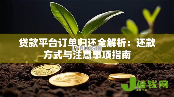 贷款平台订单归还全解析:还款方式与注意事项指南 贷款平台订单归还全解析:还款方式与注意事项指南
