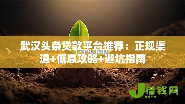 武汉头条贷款平台推荐:正规渠道+低息攻略+避坑指南 武汉头条贷款平台推荐:正规渠道+低息攻略+避坑指南