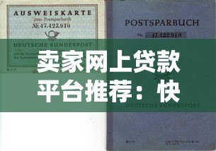 卖家网上贷款平台推荐：快速解决资金需求的5大渠道
