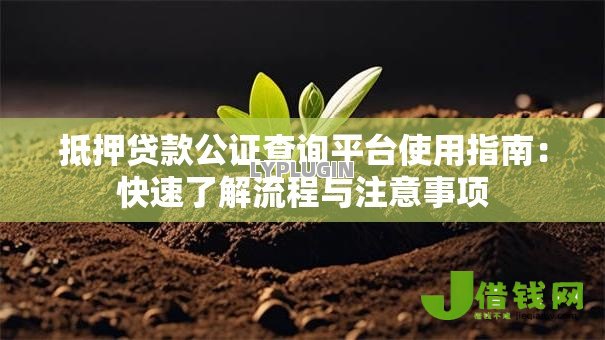 抵押贷款公证查询平台使用指南：快速了解流程与注意事项