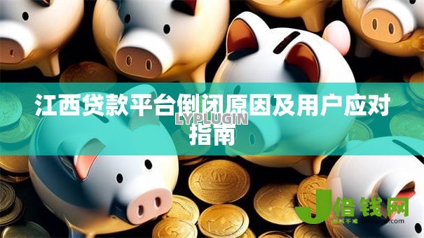江西贷款平台倒闭原因及用户应对指南