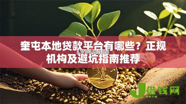 奎屯本地贷款平台有哪些?正规机构及避坑指南推荐 奎屯本地贷款平台有哪些?正规机构及避坑指南推荐