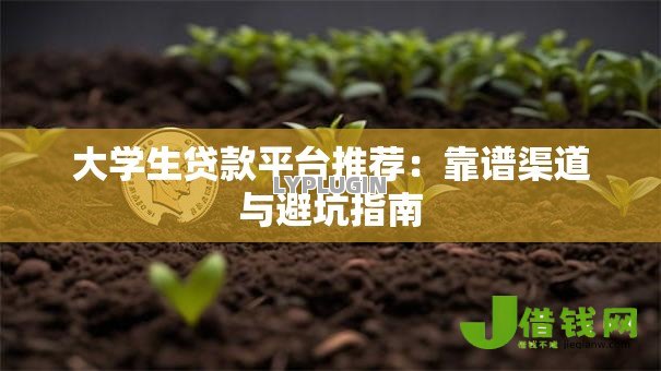 大学生贷款平台推荐：靠谱渠道与避坑指南