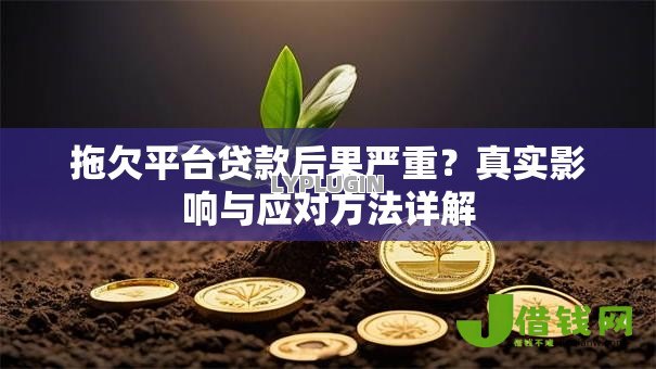 拖欠平台贷款后果严重?真实影响与应对方法详解 拖欠平台贷款后果严重?真实影响与应对方法详解