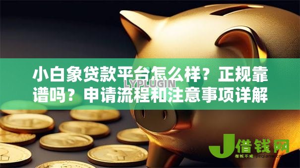 小白象贷款平台怎么样？正规靠谱吗？申请流程和注意事项详解