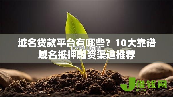 域名贷款平台有哪些?10大靠谱域名抵押融资渠道推荐 域名贷款平台有哪些?10大靠谱域名抵押融资渠道推荐