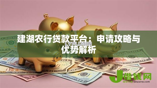 建湖农行贷款平台：申请攻略与优势解析