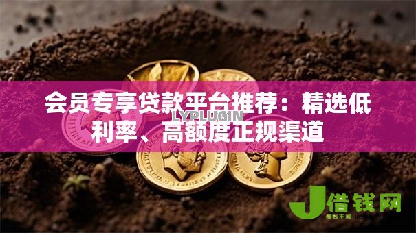 会员专享贷款平台推荐：精选低利率、高额度正规渠道