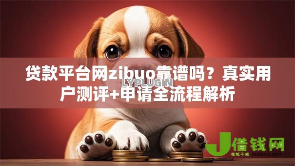 贷款平台网zibuo靠谱吗？真实用户测评+申请全流程解析