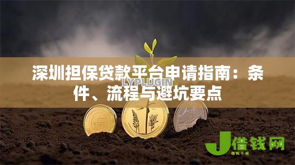 深圳担保贷款平台申请指南：条件、流程与避坑要点