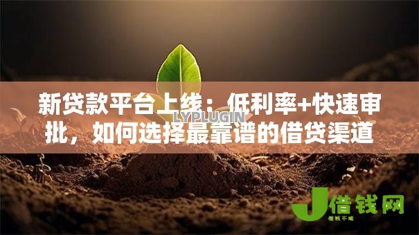 新贷款平台上线:低利率+快速审批,如何选择最靠谱的借贷渠道? 新贷款平台上线:低利率+快速审批,如何选择最靠谱的借贷渠道?