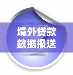 境外贷款数据报送平台操作流程及注意事项 境外贷款数据报送平台操作流程及注意事项