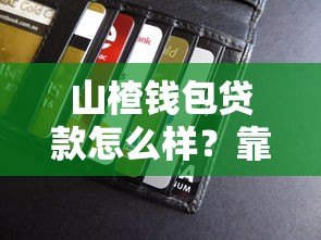 山楂钱包贷款怎么样?靠谱吗?真实测评+申请流程全解析 山楂钱包贷款怎么样?靠谱吗?真实测评+申请流程全解析