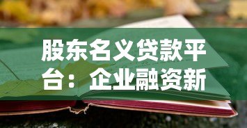 股东名义贷款平台：企业融资新选择与风险全解析