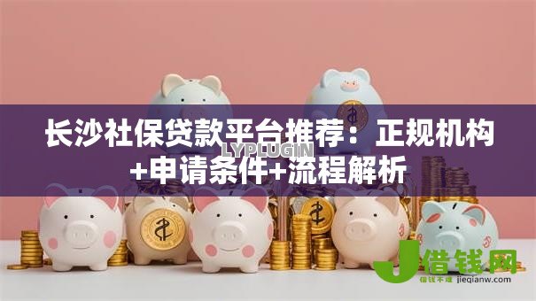 长沙社保贷款平台推荐：正规机构+申请条件+流程解析