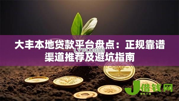 大丰本地贷款平台盘点:正规靠谱渠道推荐及避坑指南 大丰本地贷款平台盘点:正规靠谱渠道推荐及避坑指南