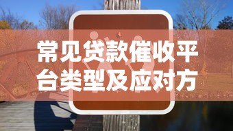 常见贷款催收平台类型及应对方法解析 常见贷款催收平台类型及应对方法解析