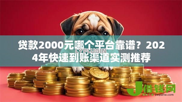 贷款2000元哪个平台靠谱？2024年快速到账渠道实测推荐